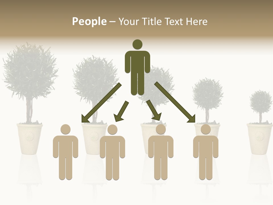 Maturation Success Advance PowerPoint Template