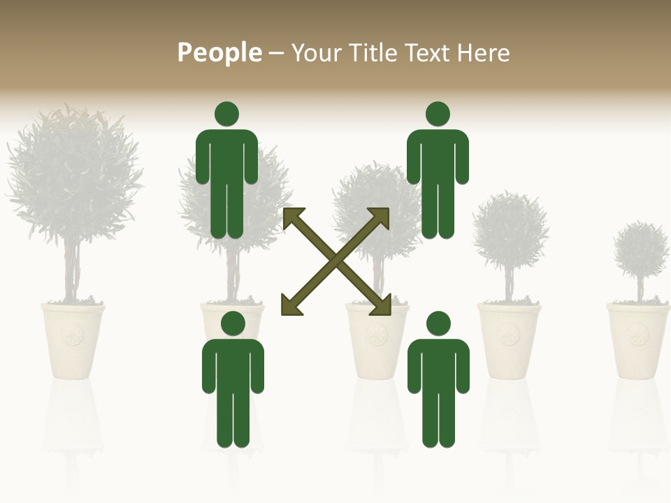 Maturation Success Advance PowerPoint Template