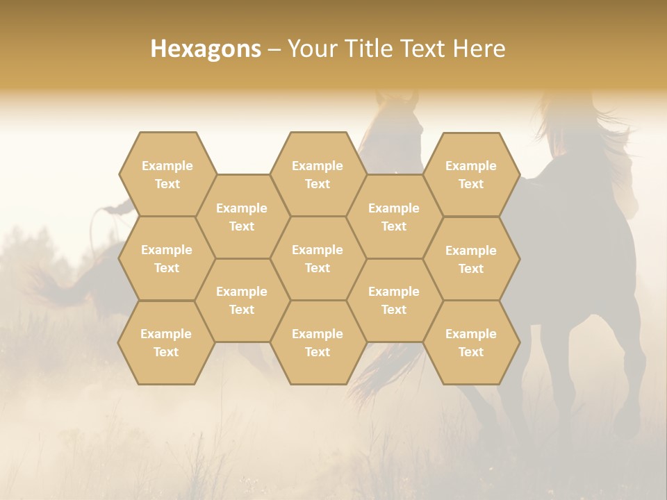 Kick Evening Lasso PowerPoint Template