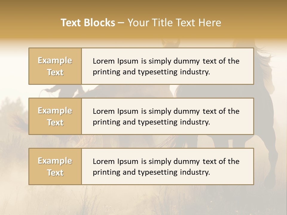 Kick Evening Lasso PowerPoint Template
