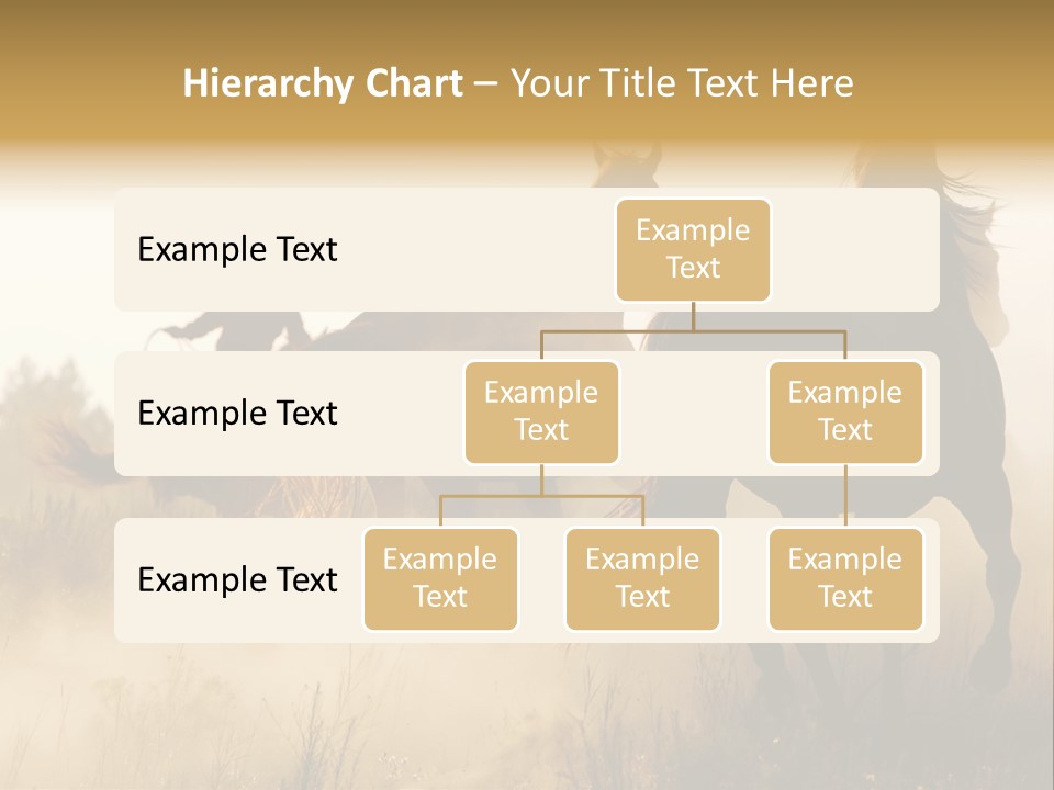 Kick Evening Lasso PowerPoint Template