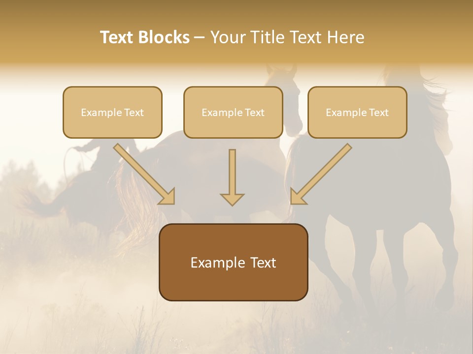 Kick Evening Lasso PowerPoint Template