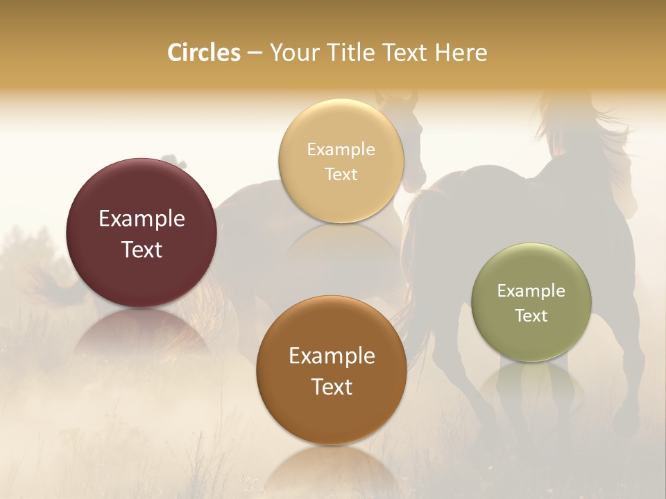 Kick Evening Lasso PowerPoint Template