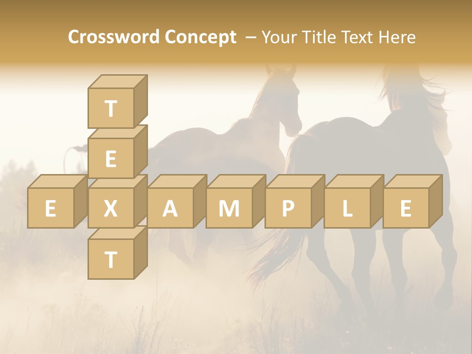 Kick Evening Lasso PowerPoint Template