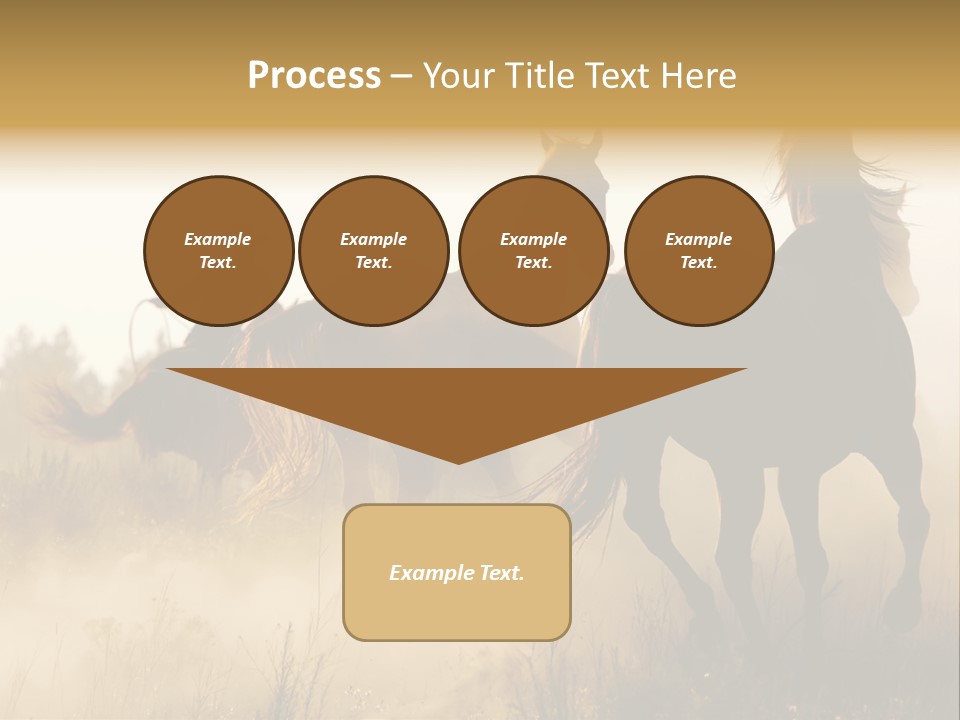 Kick Evening Lasso PowerPoint Template