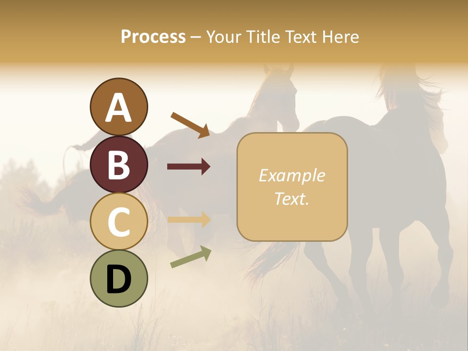 Kick Evening Lasso PowerPoint Template