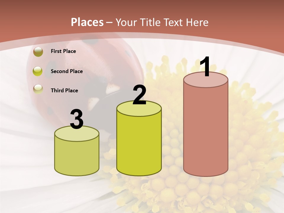 Coccinellidae Macro Insect PowerPoint Template