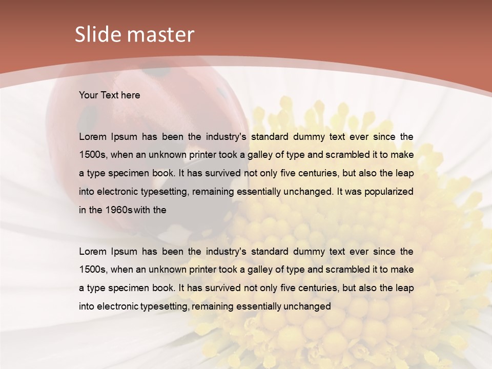 Coccinellidae Macro Insect PowerPoint Template