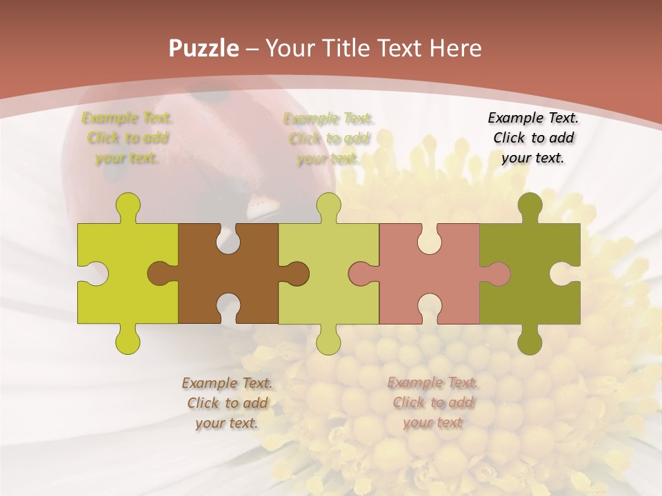 Coccinellidae Macro Insect PowerPoint Template