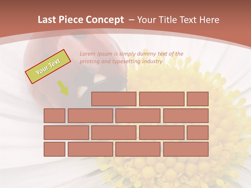 Coccinellidae Macro Insect PowerPoint Template