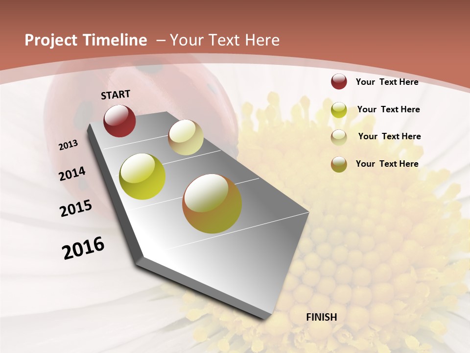 Coccinellidae Macro Insect PowerPoint Template