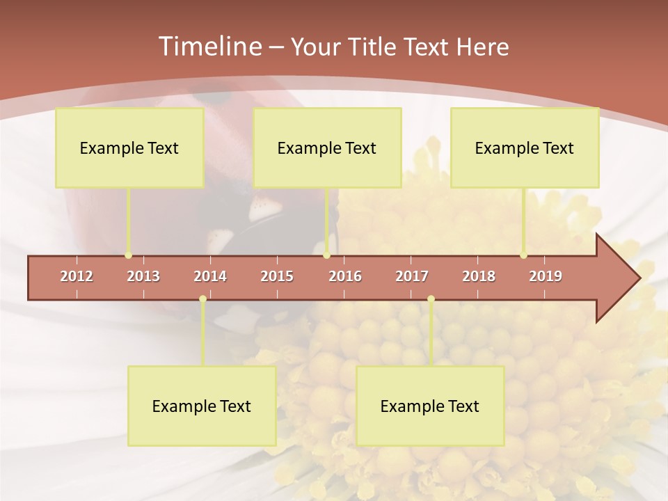 Coccinellidae Macro Insect PowerPoint Template