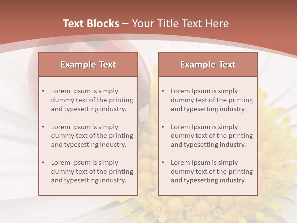 Coccinellidae Macro Insect PowerPoint Template