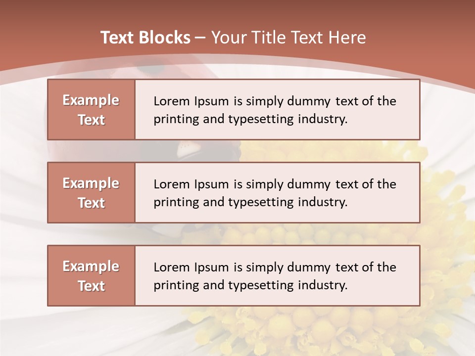 Coccinellidae Macro Insect PowerPoint Template