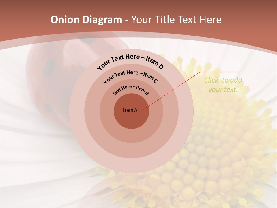 Coccinellidae Macro Insect PowerPoint Template