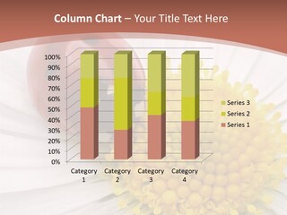 Coccinellidae Macro Insect PowerPoint Template