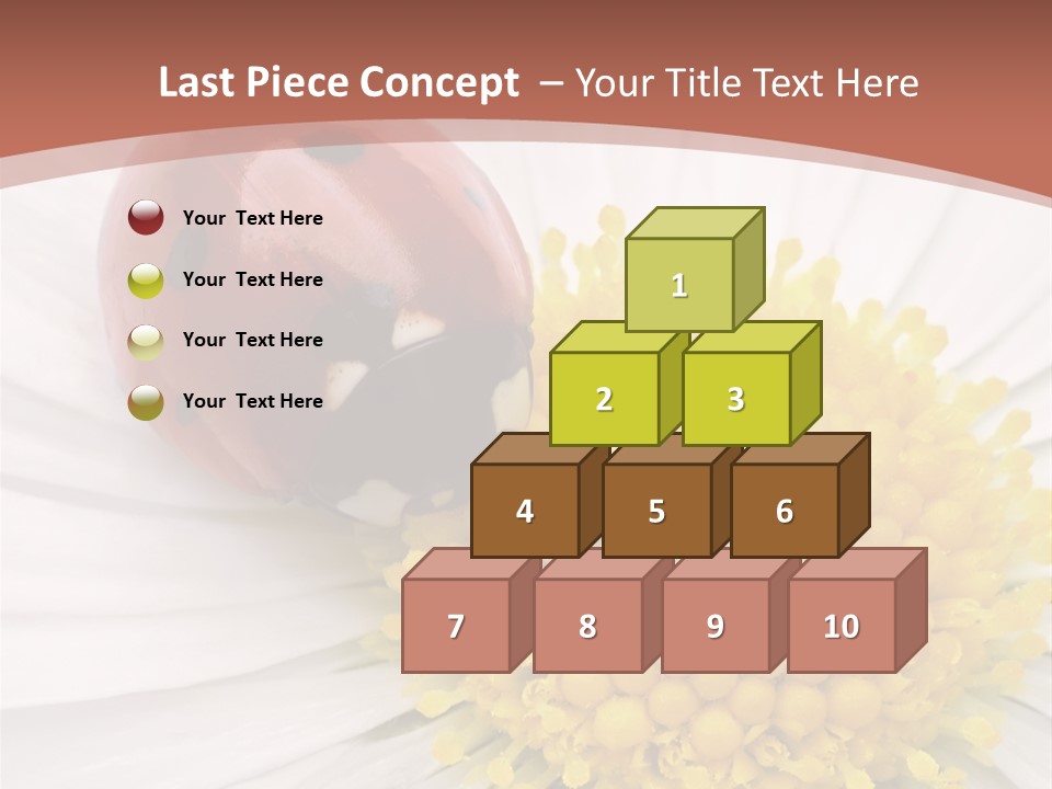 Coccinellidae Macro Insect PowerPoint Template