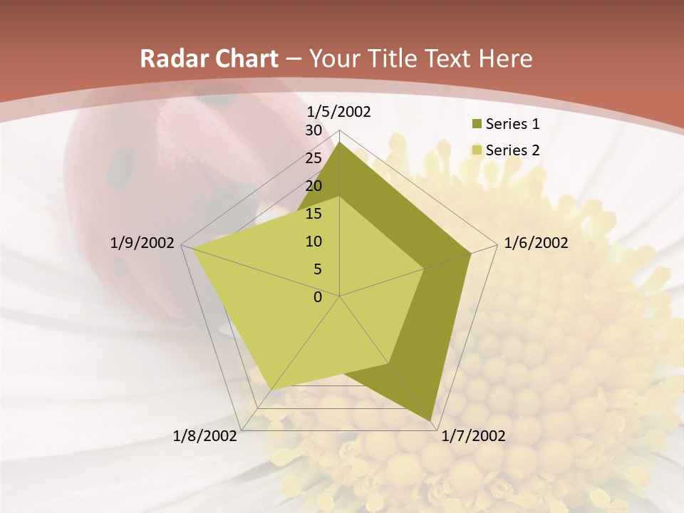 Coccinellidae Macro Insect PowerPoint Template
