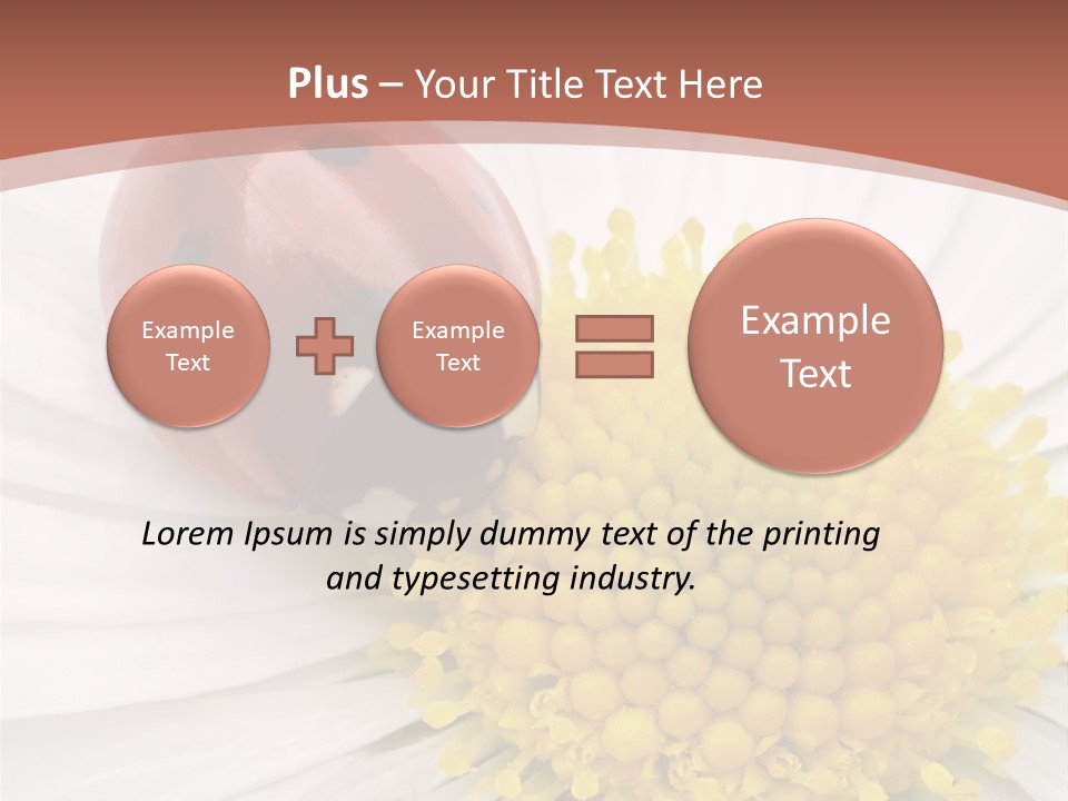 Coccinellidae Macro Insect PowerPoint Template