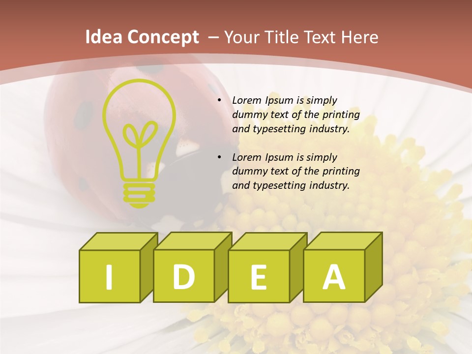 Coccinellidae Macro Insect PowerPoint Template