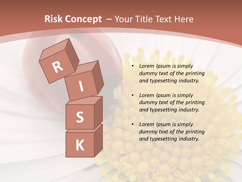 Coccinellidae Macro Insect PowerPoint Template