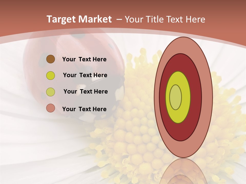 Coccinellidae Macro Insect PowerPoint Template