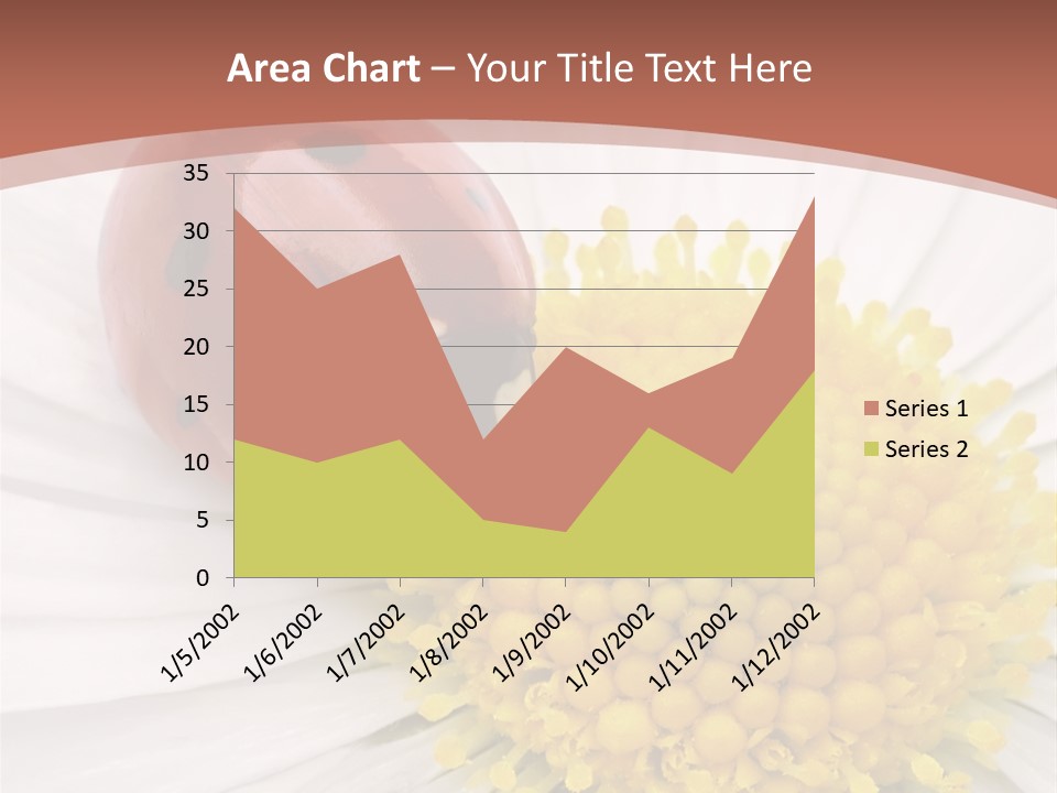 Coccinellidae Macro Insect PowerPoint Template