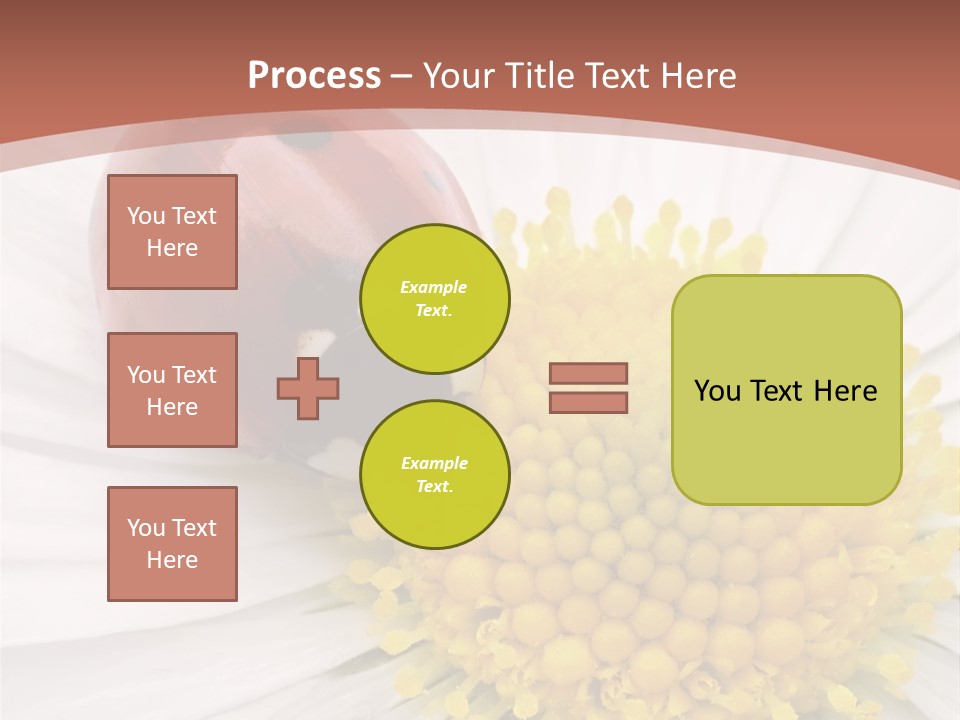 Coccinellidae Macro Insect PowerPoint Template