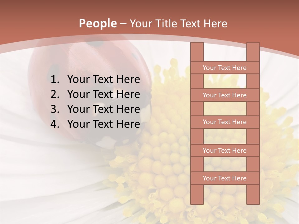 Coccinellidae Macro Insect PowerPoint Template