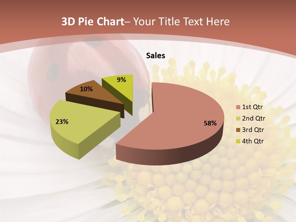 Coccinellidae Macro Insect PowerPoint Template