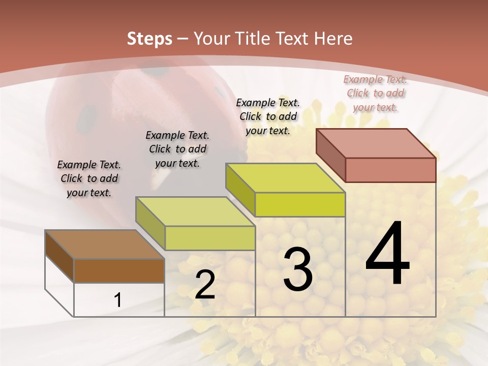 Coccinellidae Macro Insect PowerPoint Template