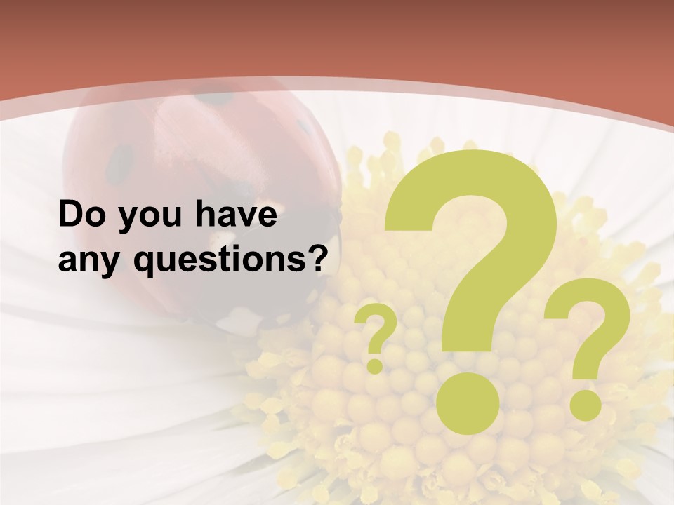 Coccinellidae Macro Insect PowerPoint Template