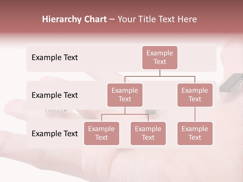 High Information Useful PowerPoint Template
