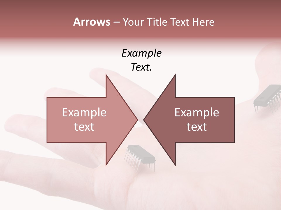 High Information Useful PowerPoint Template