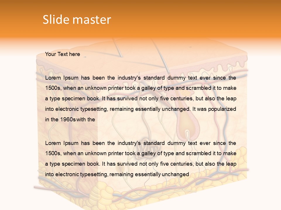 Granulosum Clip Art Cross Section PowerPoint Template