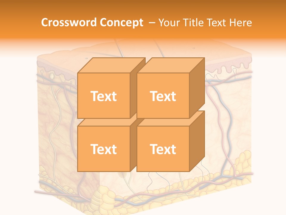 Granulosum Clip Art Cross Section PowerPoint Template