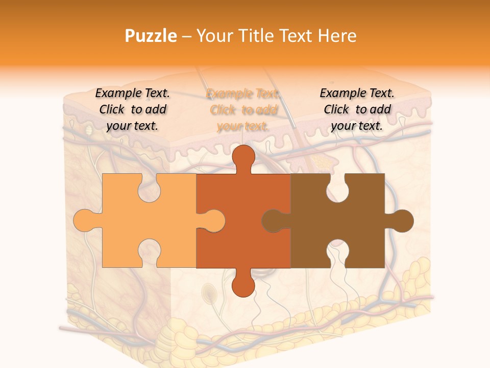 Granulosum Clip Art Cross Section PowerPoint Template
