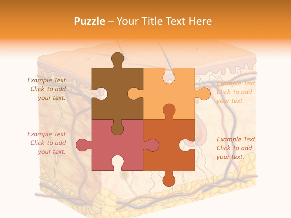 Granulosum Clip Art Cross Section PowerPoint Template