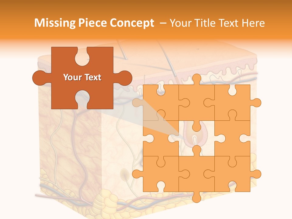 Granulosum Clip Art Cross Section PowerPoint Template