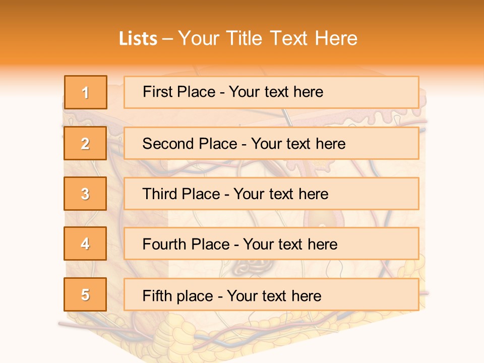 Granulosum Clip Art Cross Section PowerPoint Template