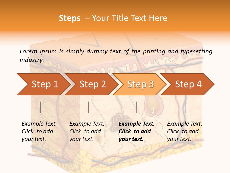 Granulosum Clip Art Cross Section PowerPoint Template