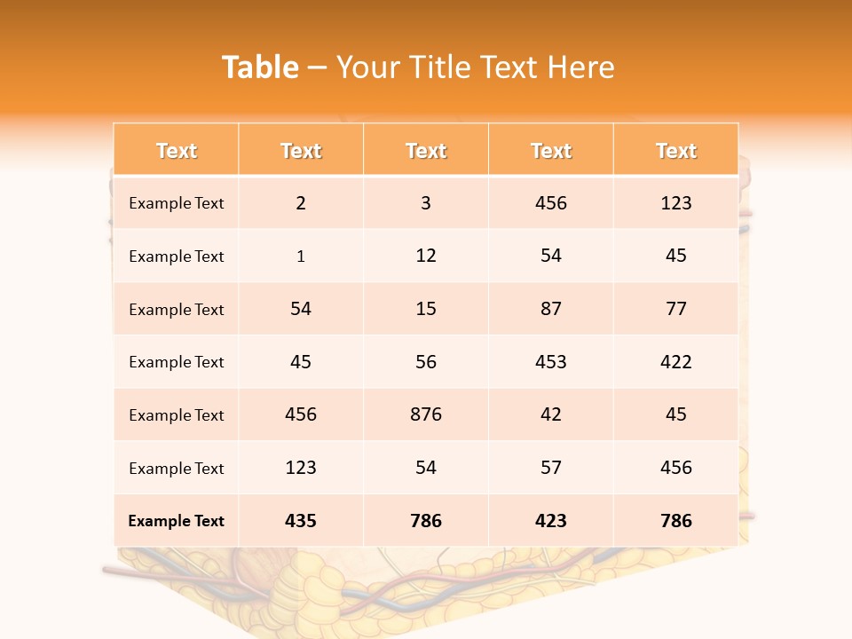Granulosum Clip Art Cross Section PowerPoint Template
