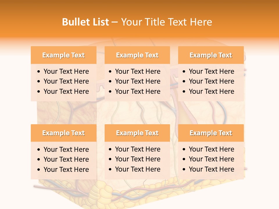 Granulosum Clip Art Cross Section PowerPoint Template