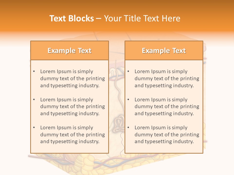Granulosum Clip Art Cross Section PowerPoint Template