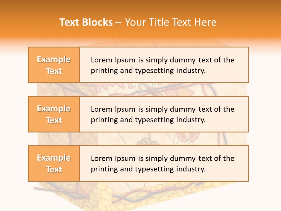 Granulosum Clip Art Cross Section PowerPoint Template