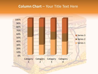 Granulosum Clip Art Cross Section PowerPoint Template