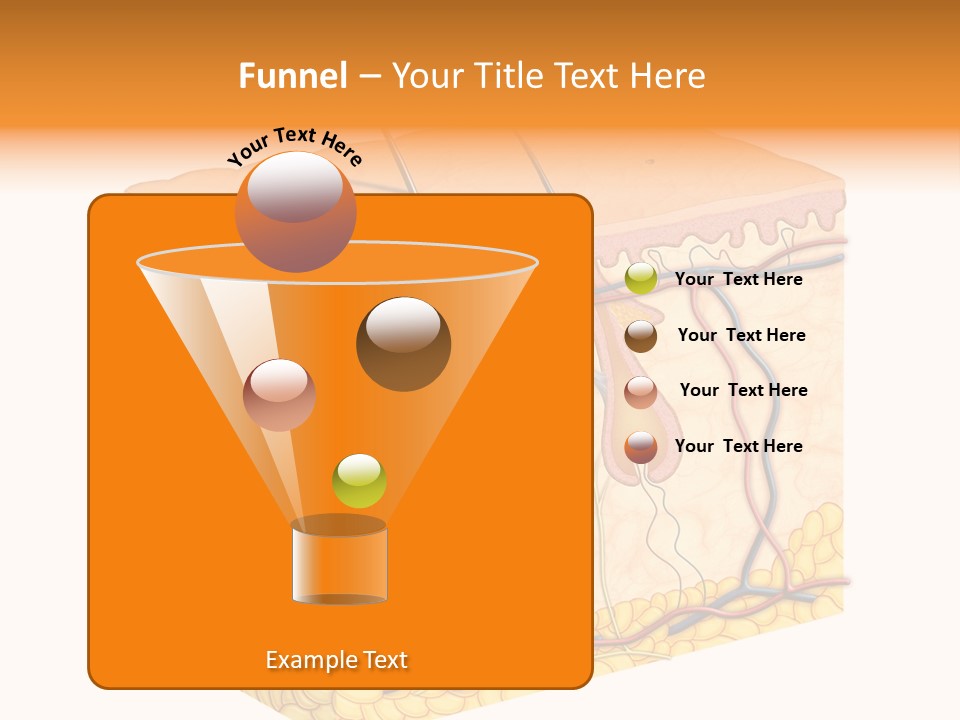 Granulosum Clip Art Cross Section PowerPoint Template