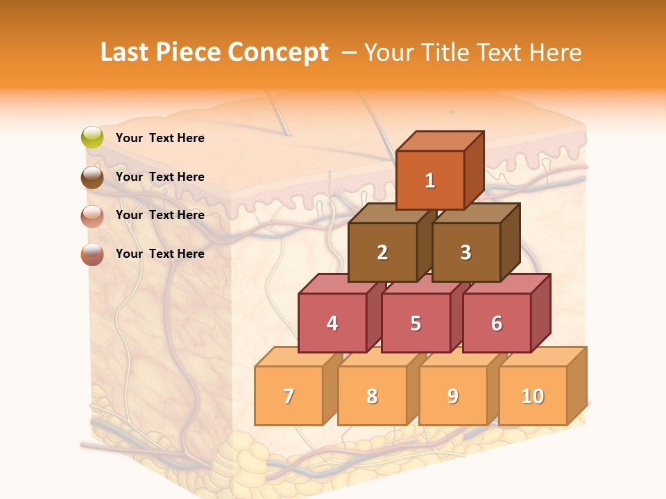 Granulosum Clip Art Cross Section PowerPoint Template