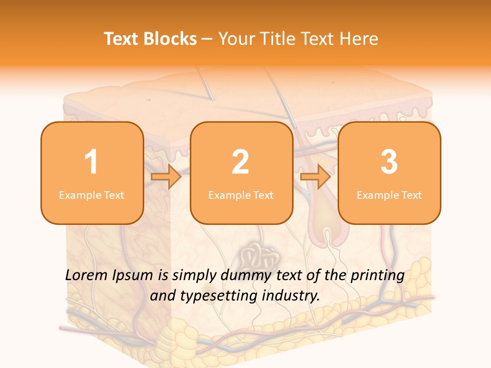 Granulosum Clip Art Cross Section PowerPoint Template