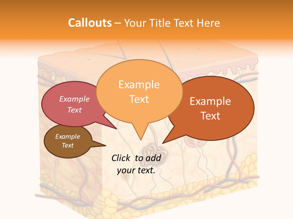 Granulosum Clip Art Cross Section PowerPoint Template